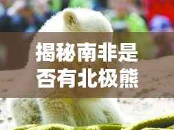 造价咨询 第86页