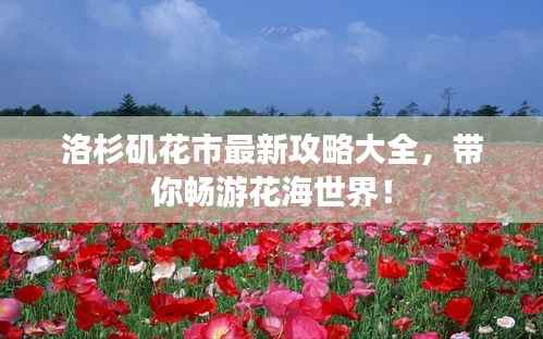 洛杉矶花市最新攻略大全,带你畅游花海世界!