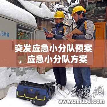 突发应急小分队预案，应急小分队方案 