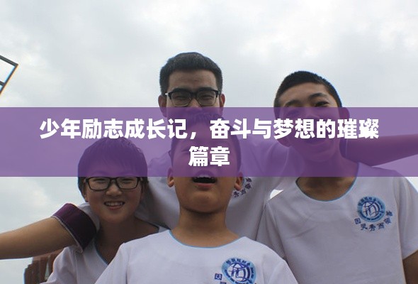 少年励志成长记,奋斗与梦想的璀璨篇章