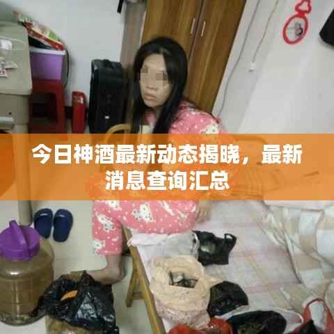 今日神酒最新动态揭晓,最新消息查询汇总