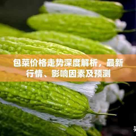 包菜价格走势深度解析,最新行情、影响因素及预测