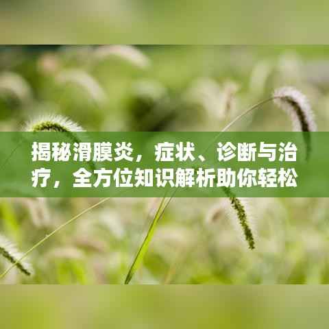 揭秘滑膜炎，症状、诊断与治疗，全方位知识解析助你轻松应对！