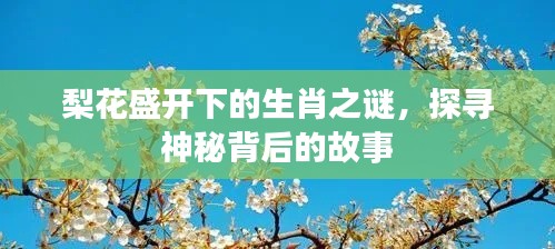 梨花盛开下的生肖之谜，探寻神秘背后的故事