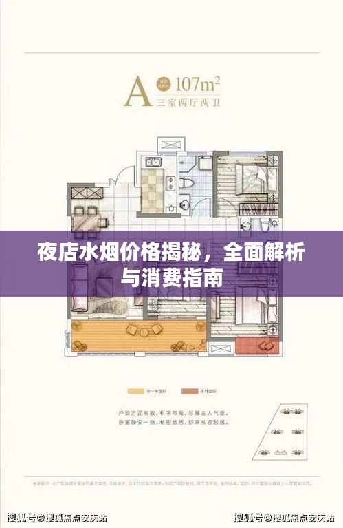 夜店水烟价格揭秘，全面解析与消费指南