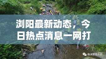 浏阳最新动态,今日热点消息一网打尽!