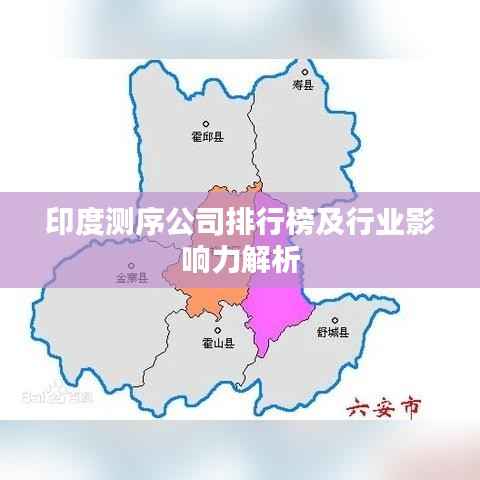 印度测序公司排行榜及行业影响力解析