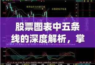 股票图表中五条线的深度解析,掌握趋势、买卖点的秘密武器!