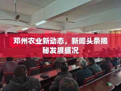 邓州农业新动态,新闻头条揭秘发展盛况