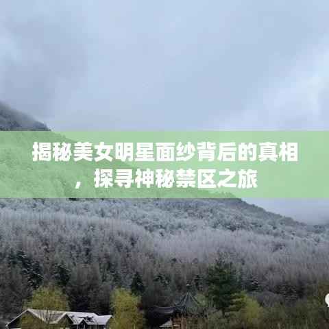 揭秘美女明星面纱背后的真相,探寻神秘禁区之旅