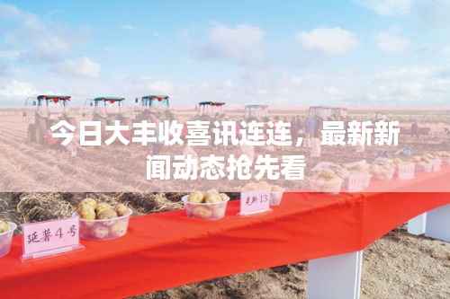 今日大丰收喜讯连连,最新新闻动态抢先看