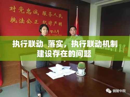 执行联动  落实,执行联动机制建设存在的问题