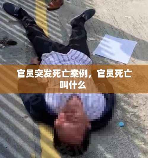 官员突发死亡案例,官员死亡叫什么