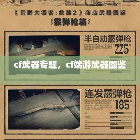cf武器专题,cf端游武器图鉴