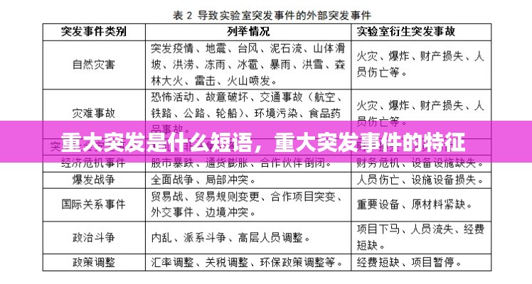 重大突发是什么短语,重大突发事件的特征