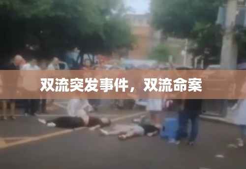双流突发事件,双流命案