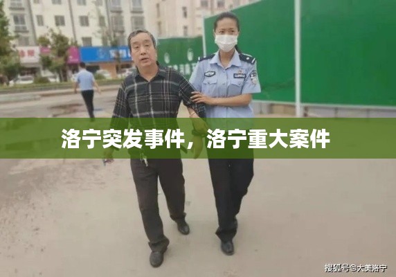 洛宁突发事件,洛宁重大案件