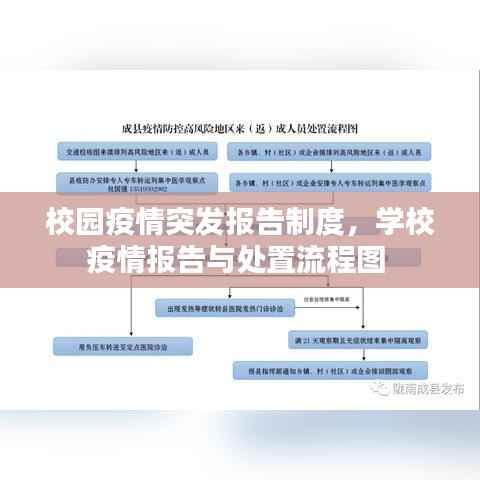 校园疫情突发报告制度,学校疫情报告与处置流程图