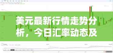 美元最新行情走势分析,今日汇率动态及市场解读