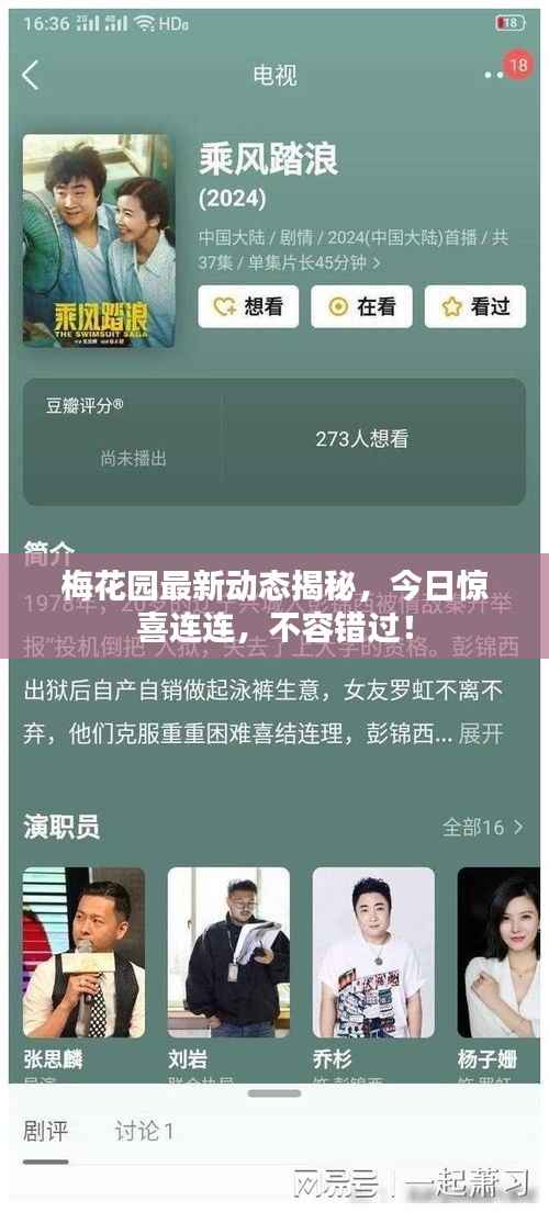 梅花园最新动态揭秘，今日惊喜连连，不容错过！