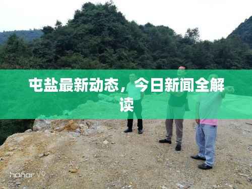 屯盐最新动态,今日新闻全解读